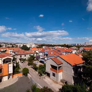 Gal Zadar