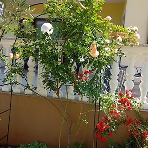 https://apartments-nina-ravni.in-istria.net